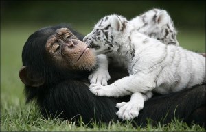 Sharing is caring