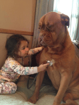babies-dogs-1