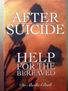 BTS Book cover