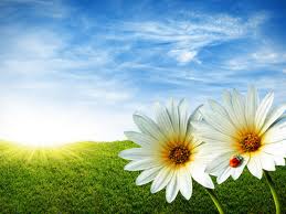 sunshine