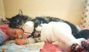 cat-saturday-0