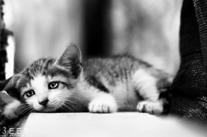 sadness_____by_aoao2-d430zrm