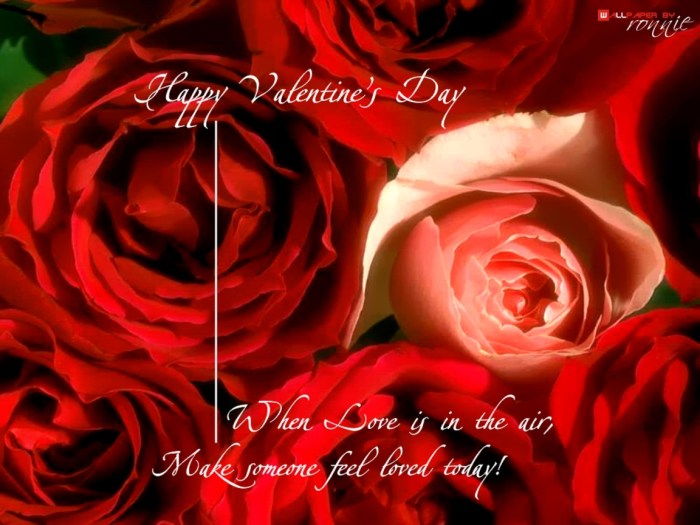 wallpapers-i-love-you-valentines-day-greetings-happy-1152x864