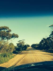 Lynch road