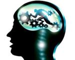 brain exercise 2