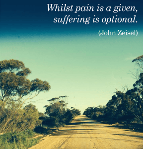 pain vs suffering